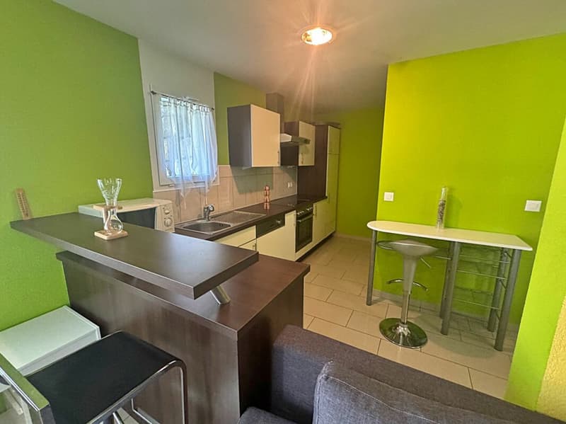 Villa individuelle d'exception de 200 m2 habitables avec studio indépendant (20)