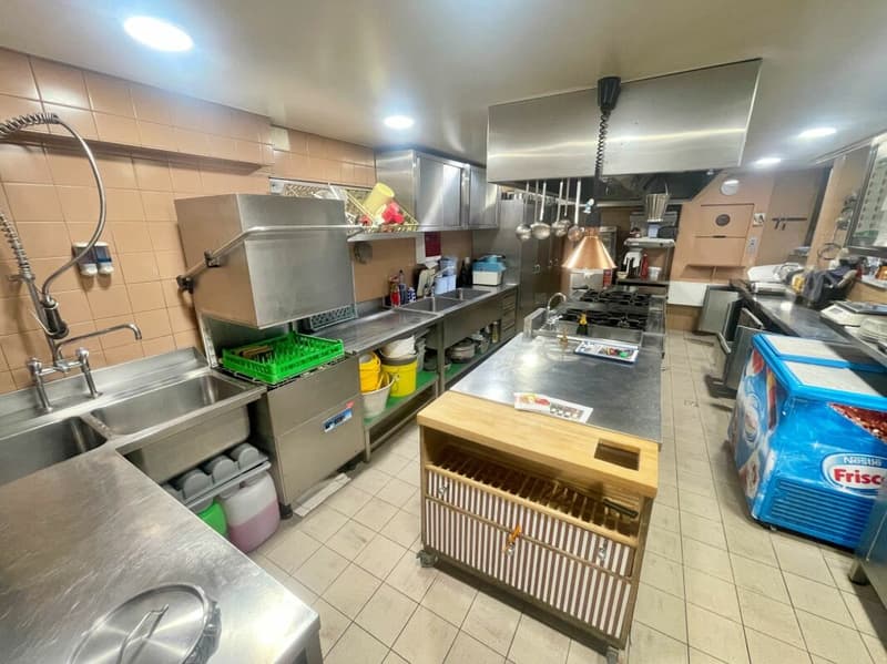 Commercial premises + business (13)