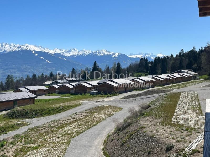 Chalet 4.5 pièces à Anzère (1)