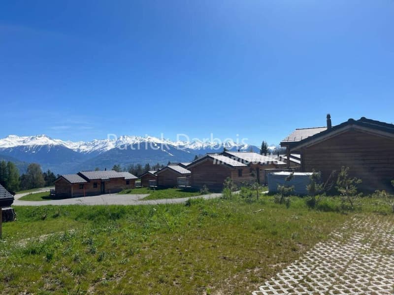 Chalet 3.5 pièces à Anzère (2)
