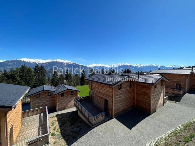 Chalet 3.5 pièces à Anzère (5)