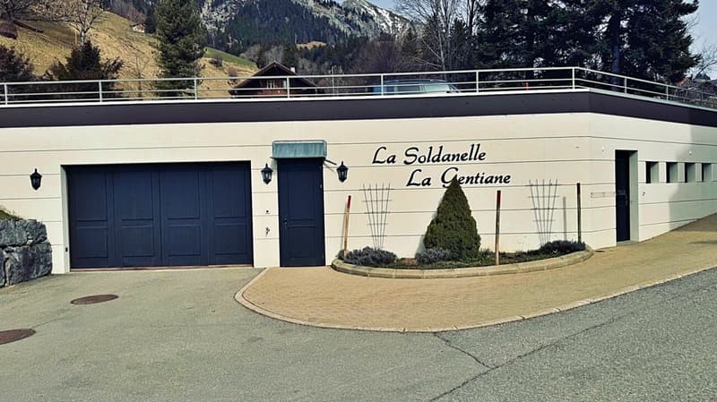 Splendido appartamento di 2,5 locali in residenza a 5 stelle (26)