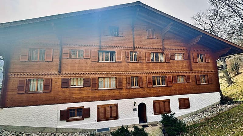 Beautiful 5.5-room attic apartment completely renovated (20)