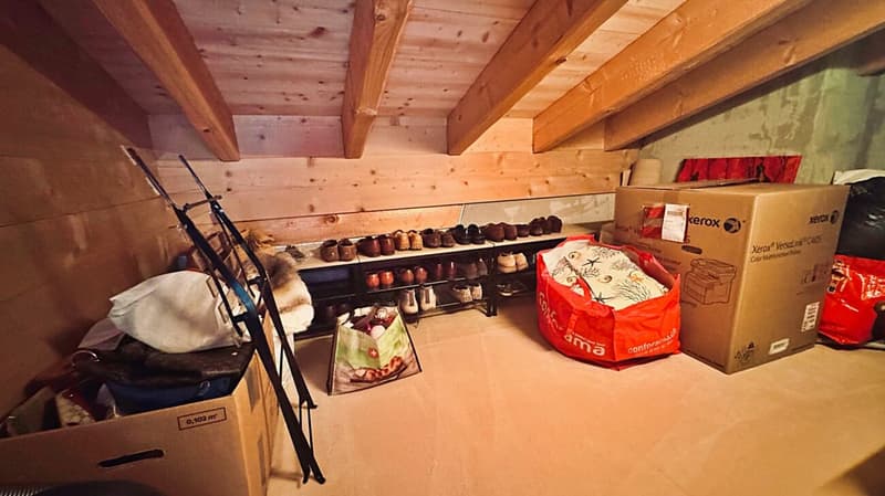 Beautiful 5.5-room attic apartment completely renovated (19)