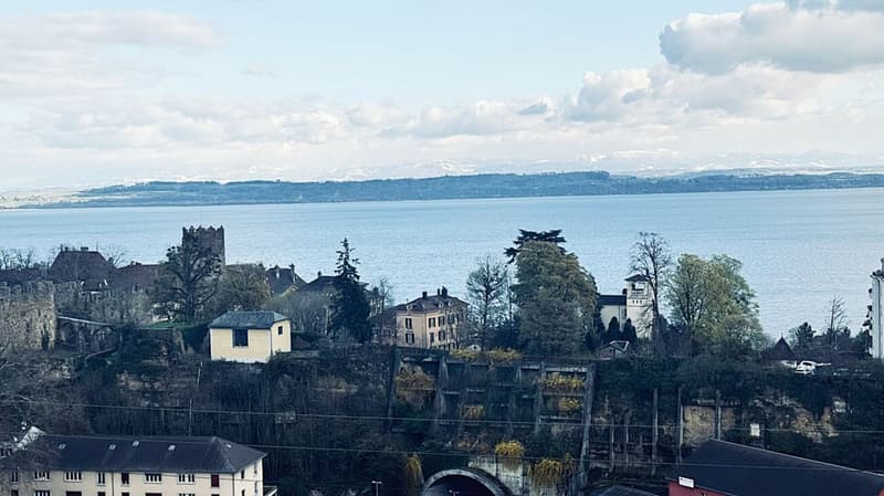Appartamento di lusso nel centro di Neuchâtel (13)