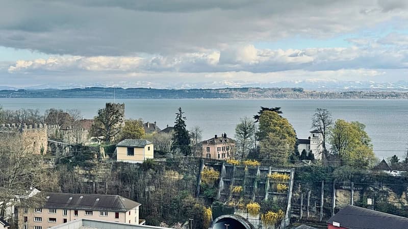 Spazioso appartamento di 4,5 locali nel centro di Neuchâtel (22)