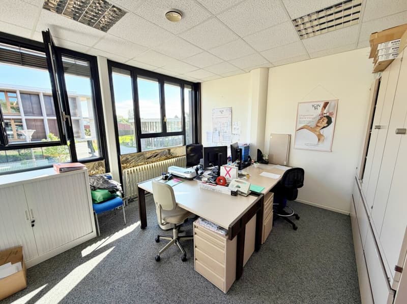 Office_local_commercial_property_Mies (20)