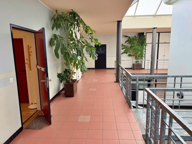 Office_local_commercial_property_Mies (8)