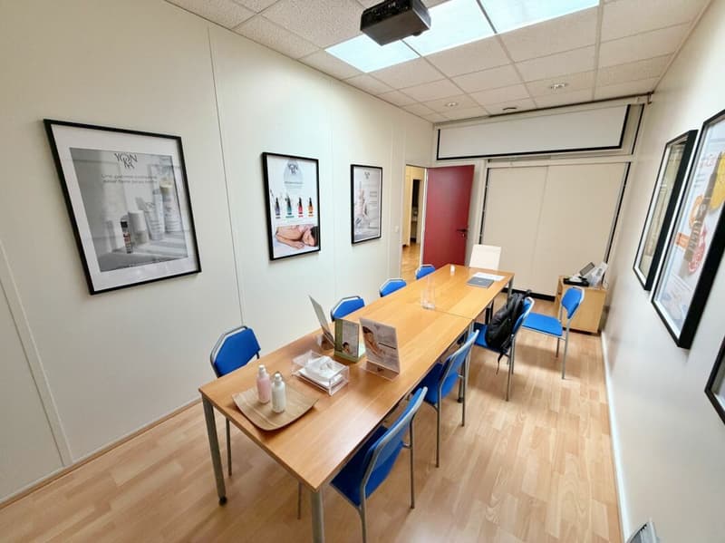 Office_local_commercial_property_Mies (11)