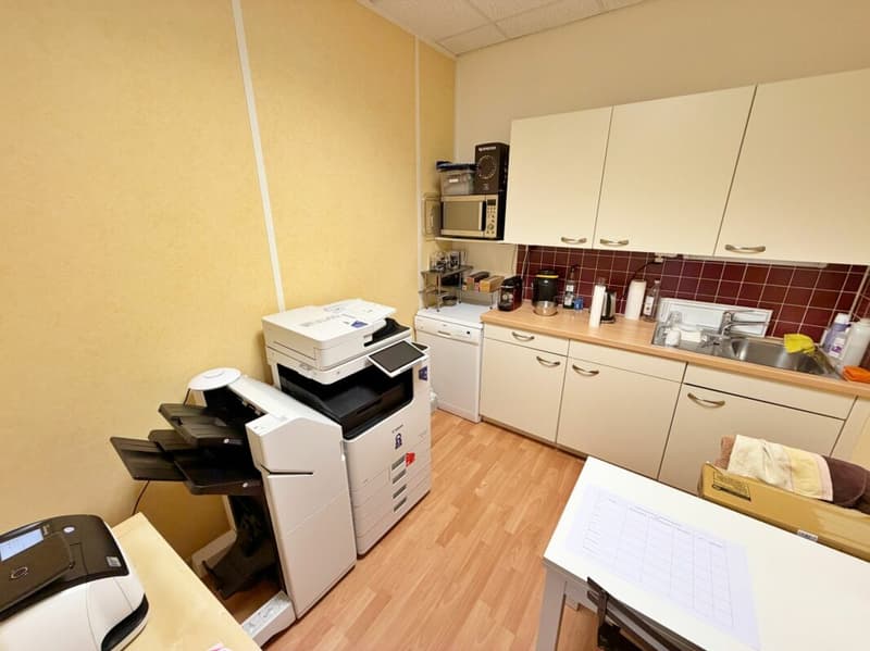 Office_local_commercial_property_Mies (18)