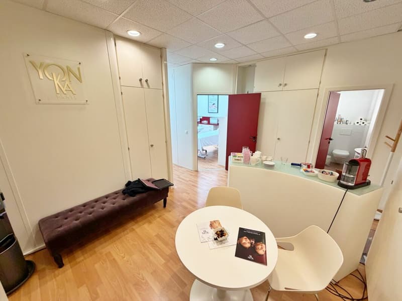 Office_local_commercial_property_Mies (9)