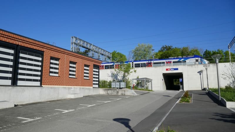 Office_local_commercial_property_Mies (4)
