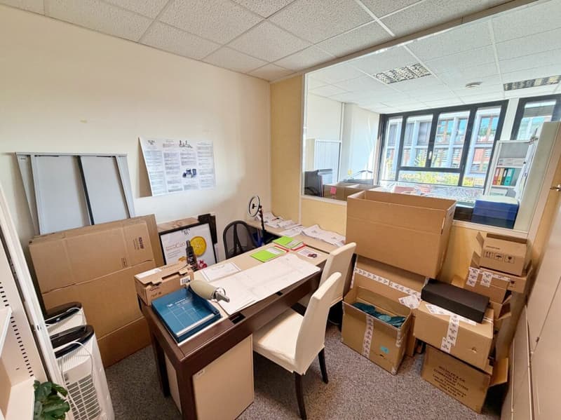 Office_local_commercial_property_Mies (23)