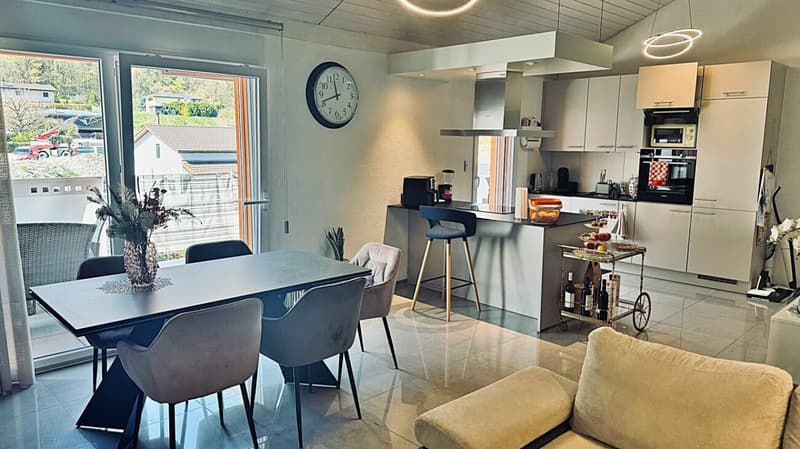 Spacious 3.5-room penthouse in mint condition with a large terrace (8)