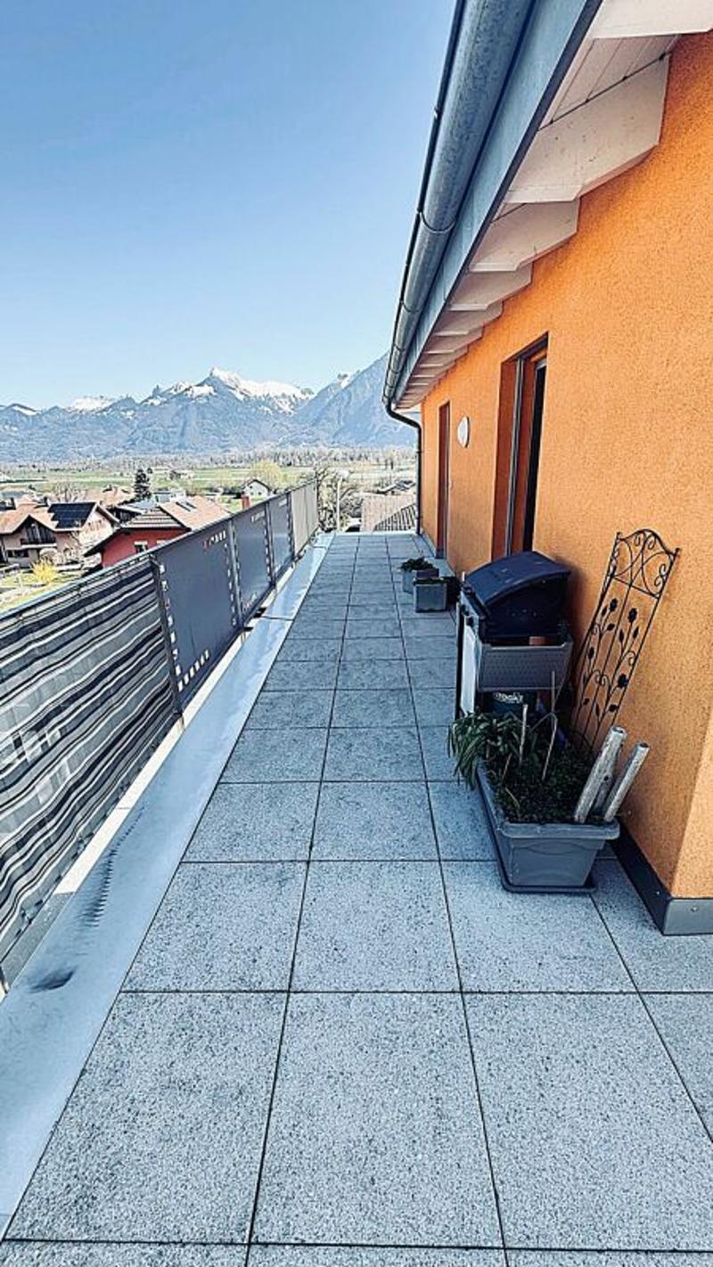 Spacious 3.5-room penthouse in mint condition with a large terrace (9)