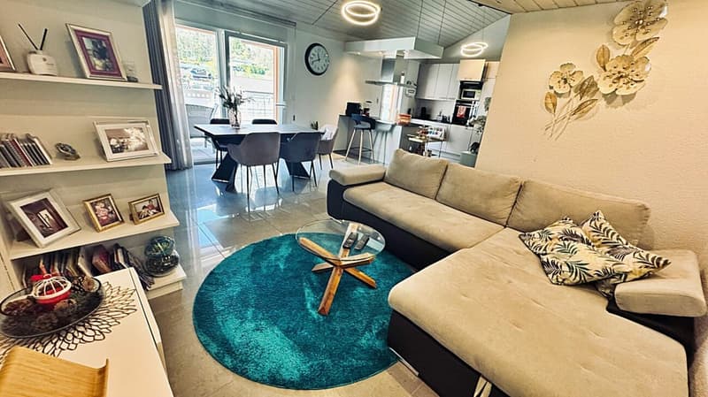 Spacious 3.5-room penthouse in mint condition with a large terrace (5)