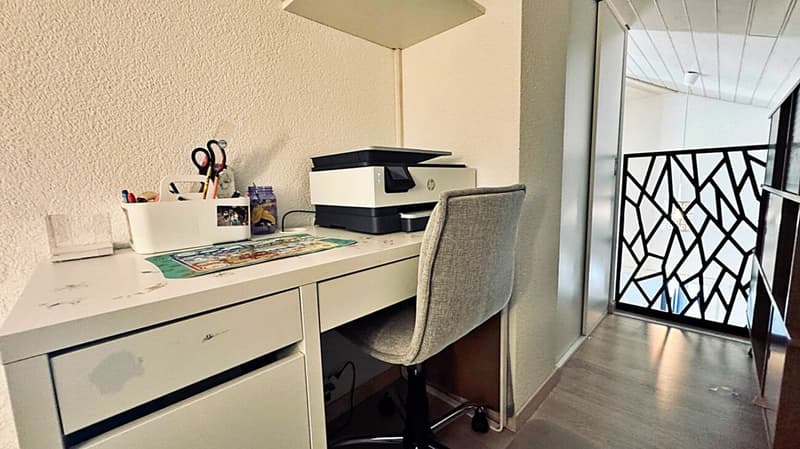 Spacious 3.5-room penthouse in mint condition with a large terrace (18)