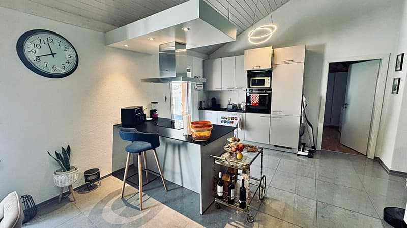Spacious 3.5-room penthouse in mint condition with a large terrace (7)