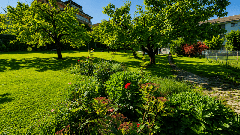 Villa individuelle de caractère avec deux spacieux appartements à proximité du centre-ville (53)