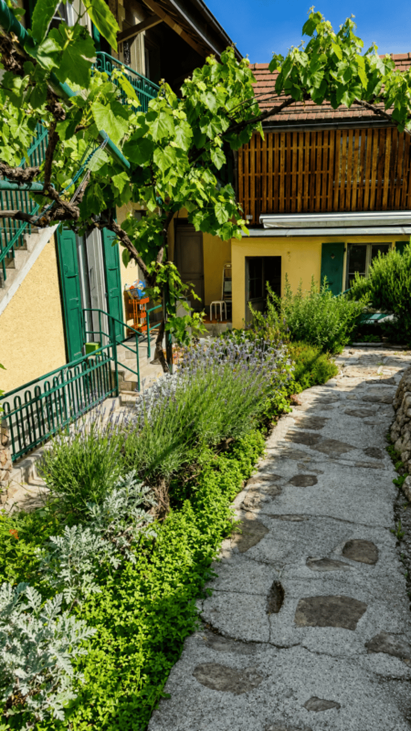 Villa individuelle de caractère avec deux spacieux appartements à proximité du centre-ville (23)