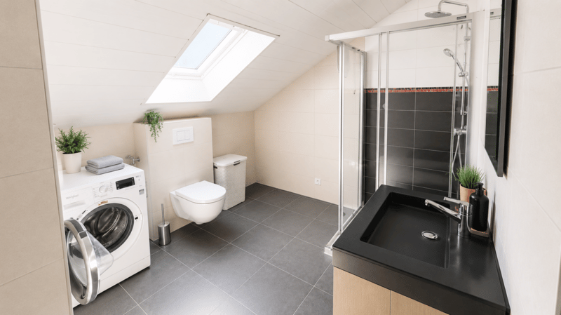 Splendida villa indipendente con 2 unità abitative e un ampio locale disponibile adibito a monolocale, nelle immediate vicinanze del centro di Yverdon, con un ampio giardino ricco di alberi e fiori (35)