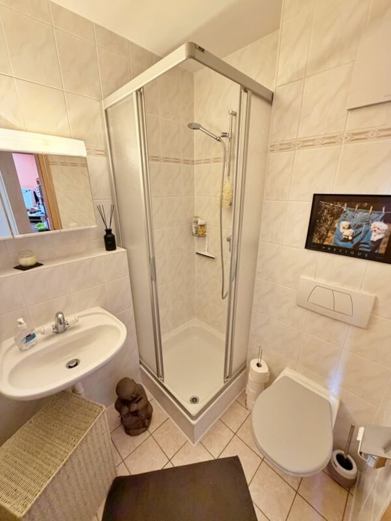 Apartment 4.5 rooms and 142 m², Prilly (24)
