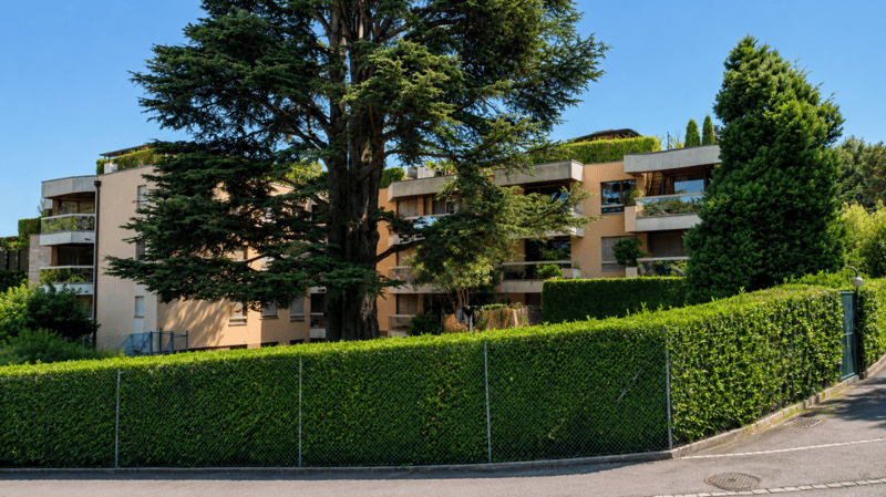 Prachtiges 3,5-Zimmer-Attikapartment mit Terrasse, privatem Rooftop und teilweisem Seeblick - Direkt vor den Toren von Genf (26)