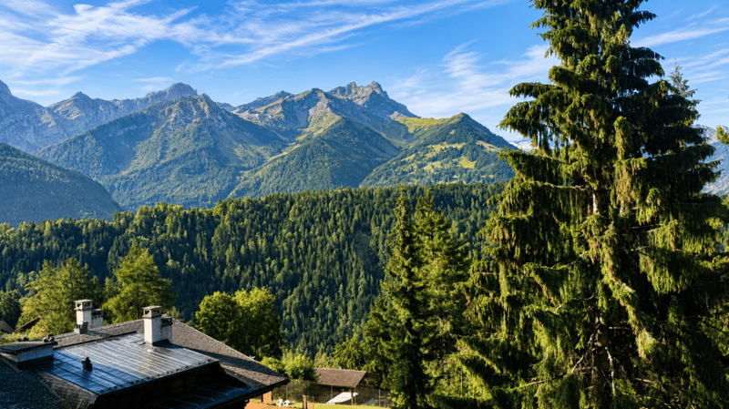 Immeuble avec fort potentiel - 3 appartements - Villars-sur-Ollon (22)