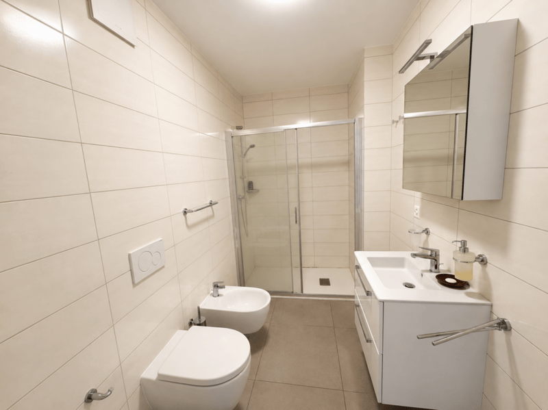 Attraktive 2,5-Zimmer-Gartenwohnung in Manno - moderner Wohnkomfort (10)