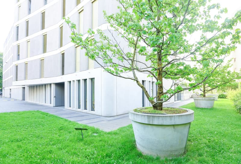Appartement lumineux et au calme, au cœur des Acacias (12)