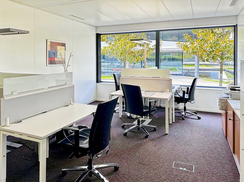 modern office layout, desks, chairs, window, carpet, cabinets