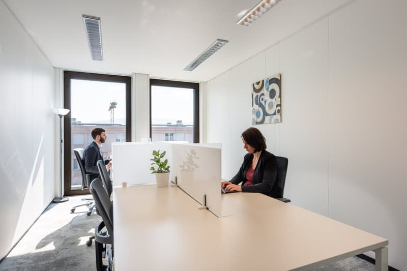large desk, two people working, long windows, plants, white walls, carpet