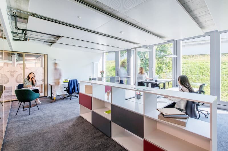 Open-plan office space with large windows providing a view of the surrounding greenery, workstations with desks and chairs, storage cabinets, and a relaxation area with a chair.