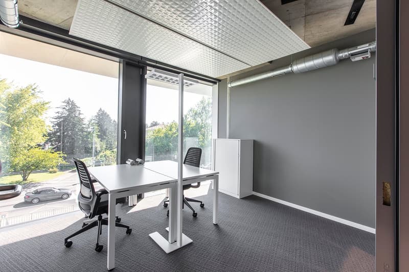 Spazio ufficio privato per 3 persone a Regus Morges (4)