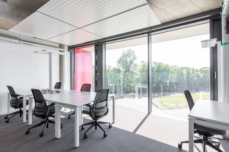 Trovate uno spazio ufficio a Regus Morges per 4 persone dove tutto è coperto (2)