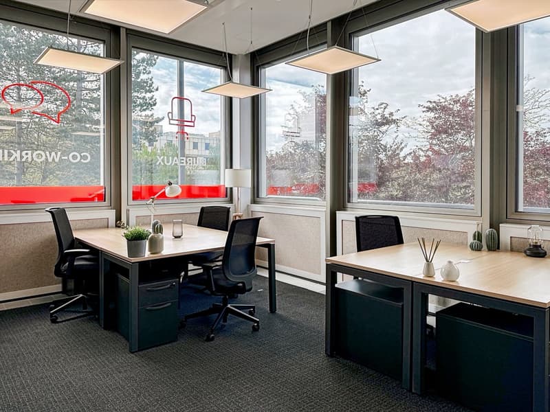 Trovate uno spazio di ufficio a Regus Meyrin, The Hive per 4 persone dove tutto è coperto (2)