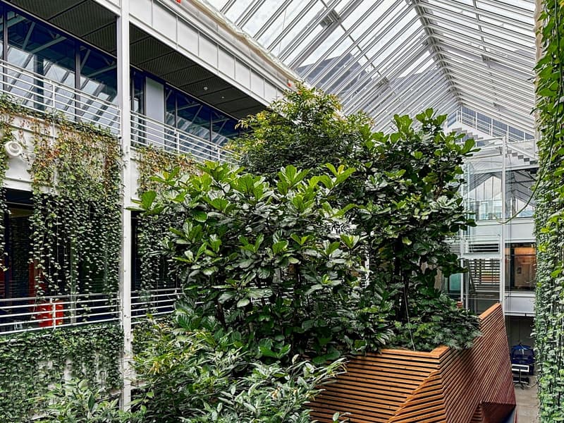 Prenotate uno spazio di ufficio aperto per aziende di tutte le dimensioni a Regus Meyrin, The Hive (19)