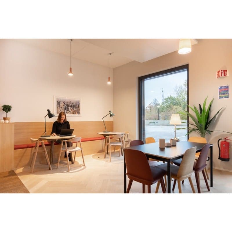 Bright and modern office space with large windows, wooden tables and chairs, a woman working on a laptop, and various decor elements such as plants and lamps.