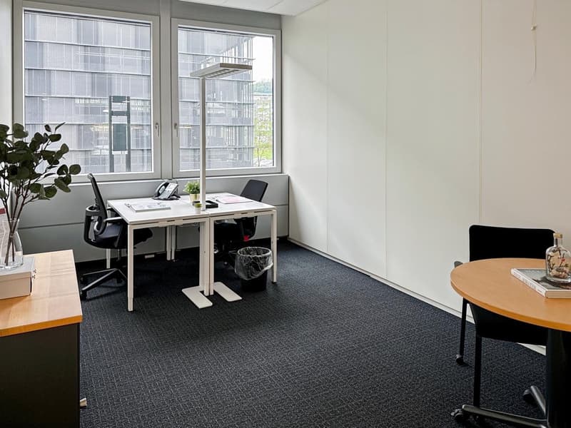The image shows a modern office space with a desk, chairs, and a plant. The room has large windows that provide natural light and a view of the surrounding buildings. The floor is covered in dark gray carpeting, and the walls are painted a light color. Th