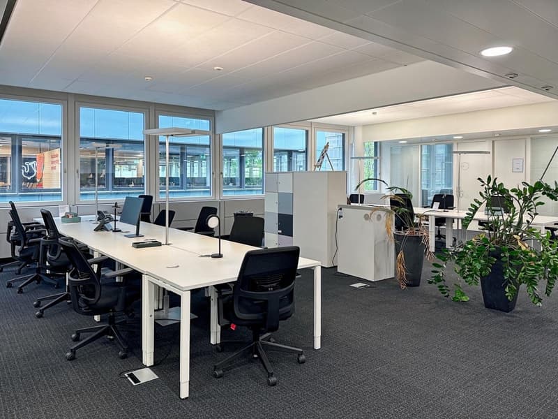Occupying ready-to-use large office spaces for 10 people in Regus Dammstrasse (11)