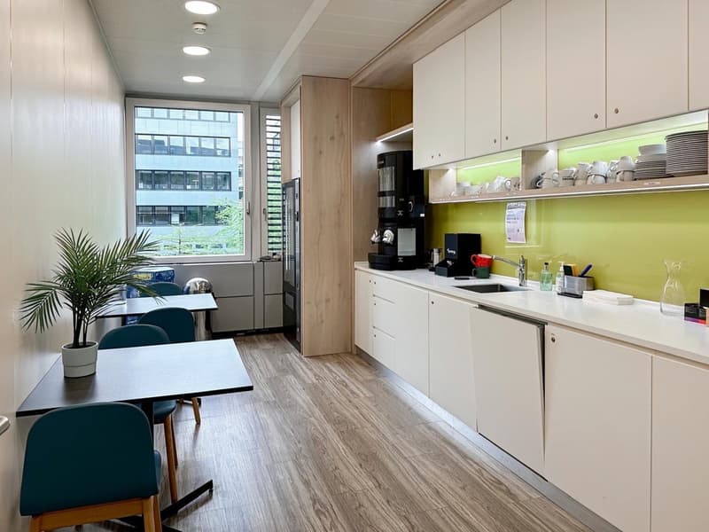 Occupying ready-to-use large office spaces for 10 people in Regus Dammstrasse (13)