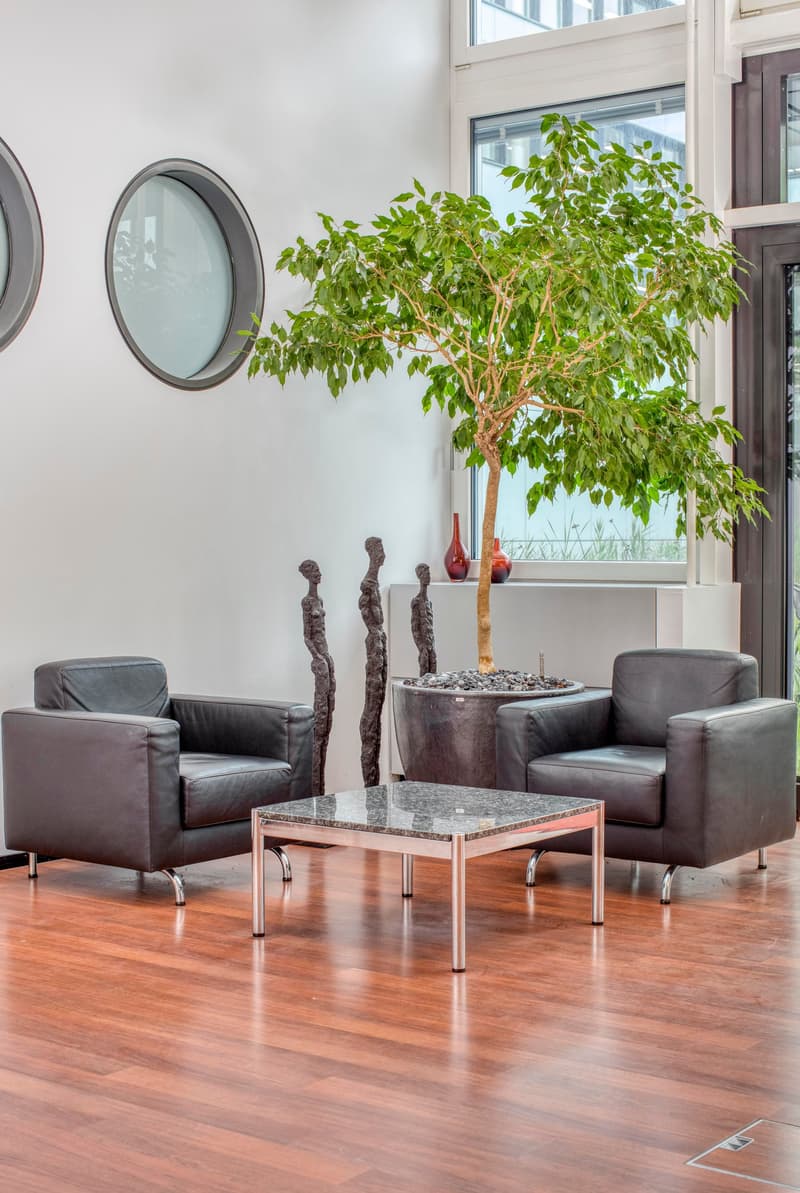 Occupying ready-to-use large office spaces for 10 people in Regus Dammstrasse (5)