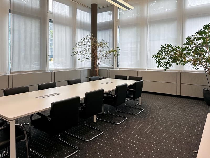 Large conference room with a long wooden table, black leather chairs, and a potted plant in the center. The room has large windows providing natural light and a carpeted floor with a dotted pattern.