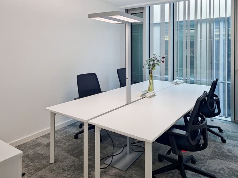 Spazio ufficio tutto compreso per te e il tuo team a Regus City Flon (7)
