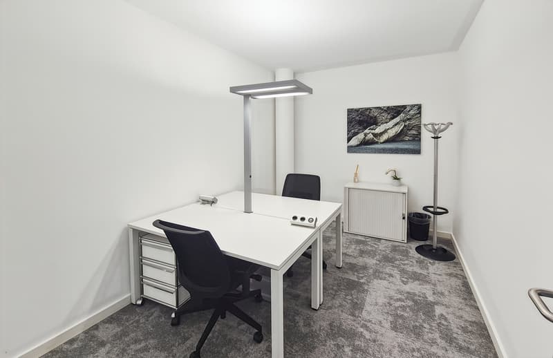 Membership in flexible Regus City Flon offices (14)