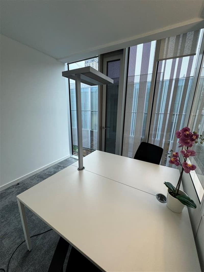 Membership in flexible Regus City Flon offices (6)