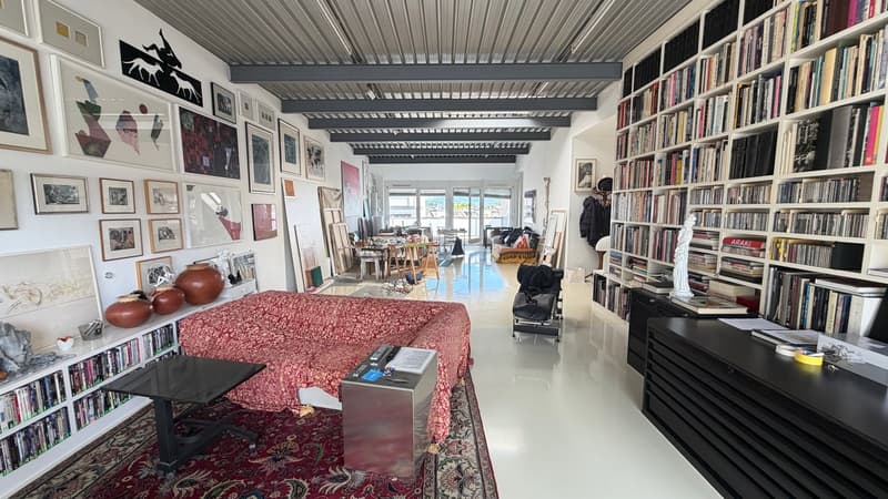 Exclusivité : Atelier/loft au coeur de Sécheron (4)