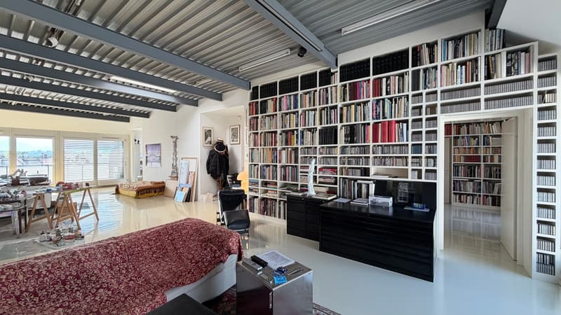 Exclusivité : Atelier/loft au coeur de Sécheron (8)
