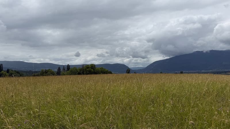 Attique en duplex avec vue dégagée sur la campagne (2)