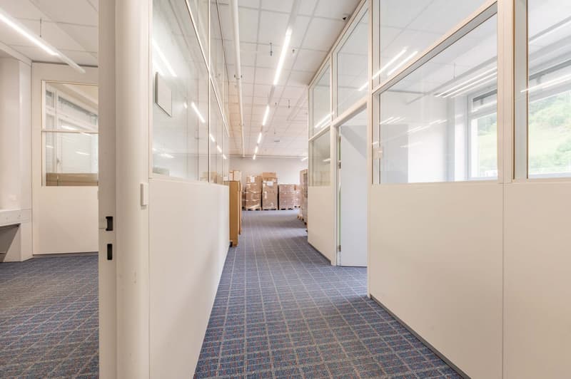 wide hallway, carpet flooring, glass walls, boxes in the distance